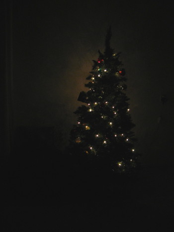 / ... El árbol de navidad... /